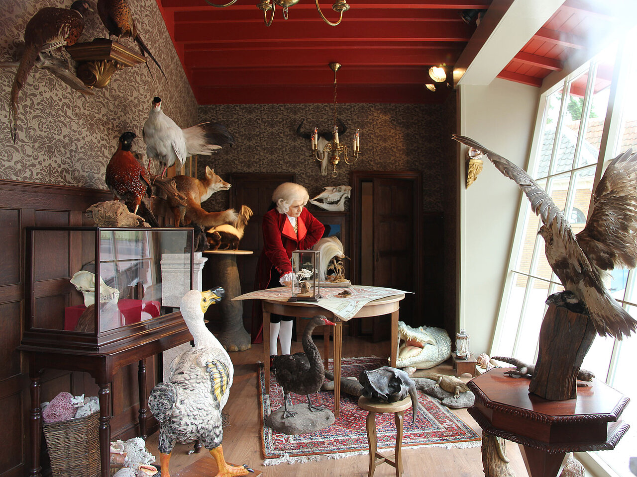 Het rariteitenkabinet met de overblijfselen van de meermin