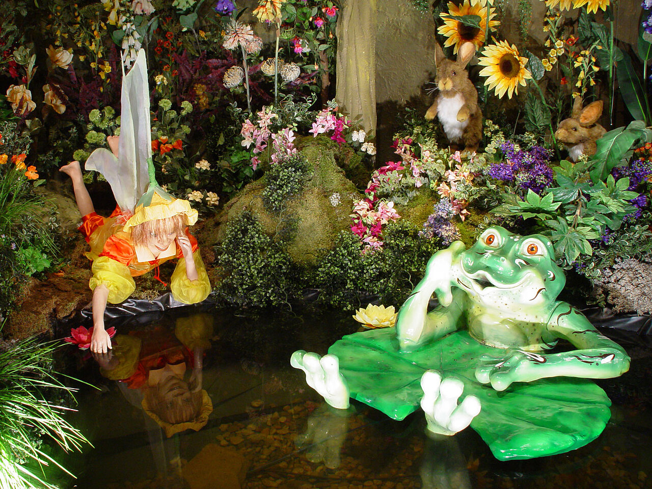 Zomer in het Tijdhuis