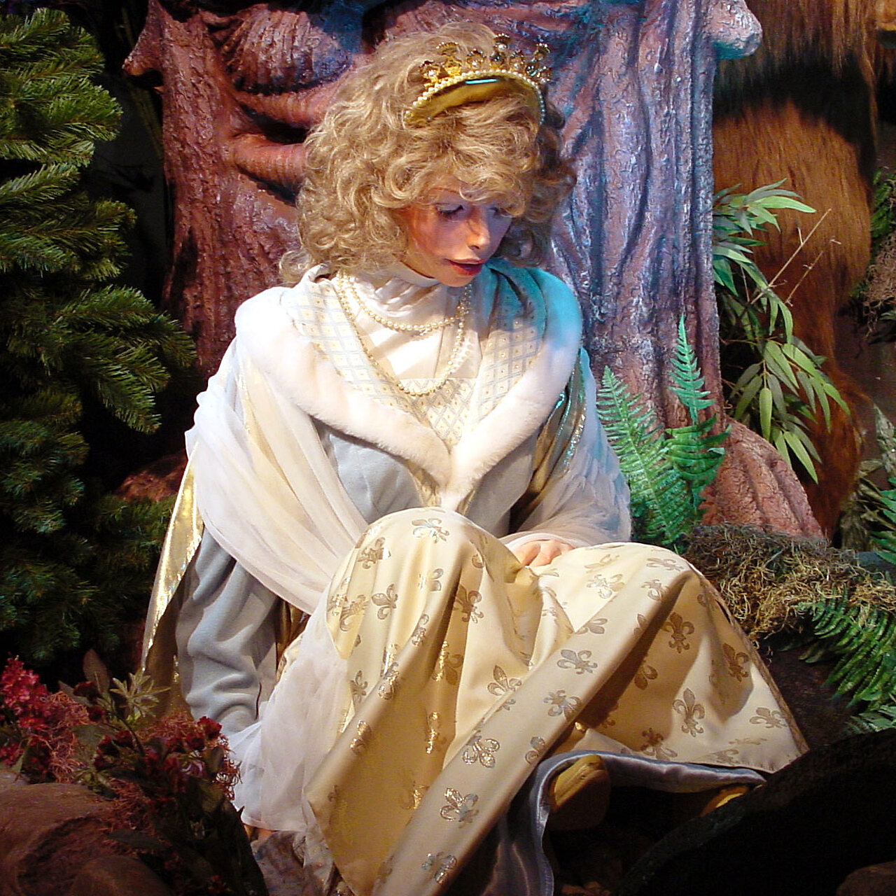 Prinses Violinde verdwaald in het bos